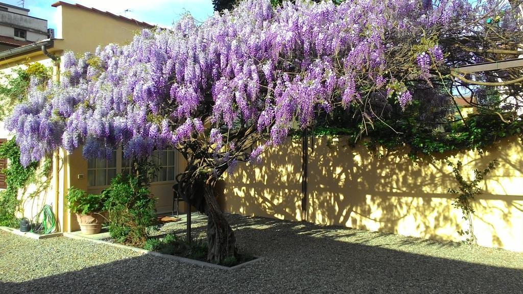 Villino Fiorentino Florens Exteriör bild